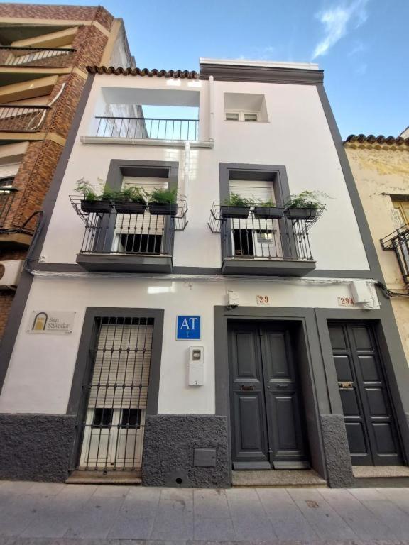 Apartamentos San Salvador Parking Gratis Merida Exterior photo